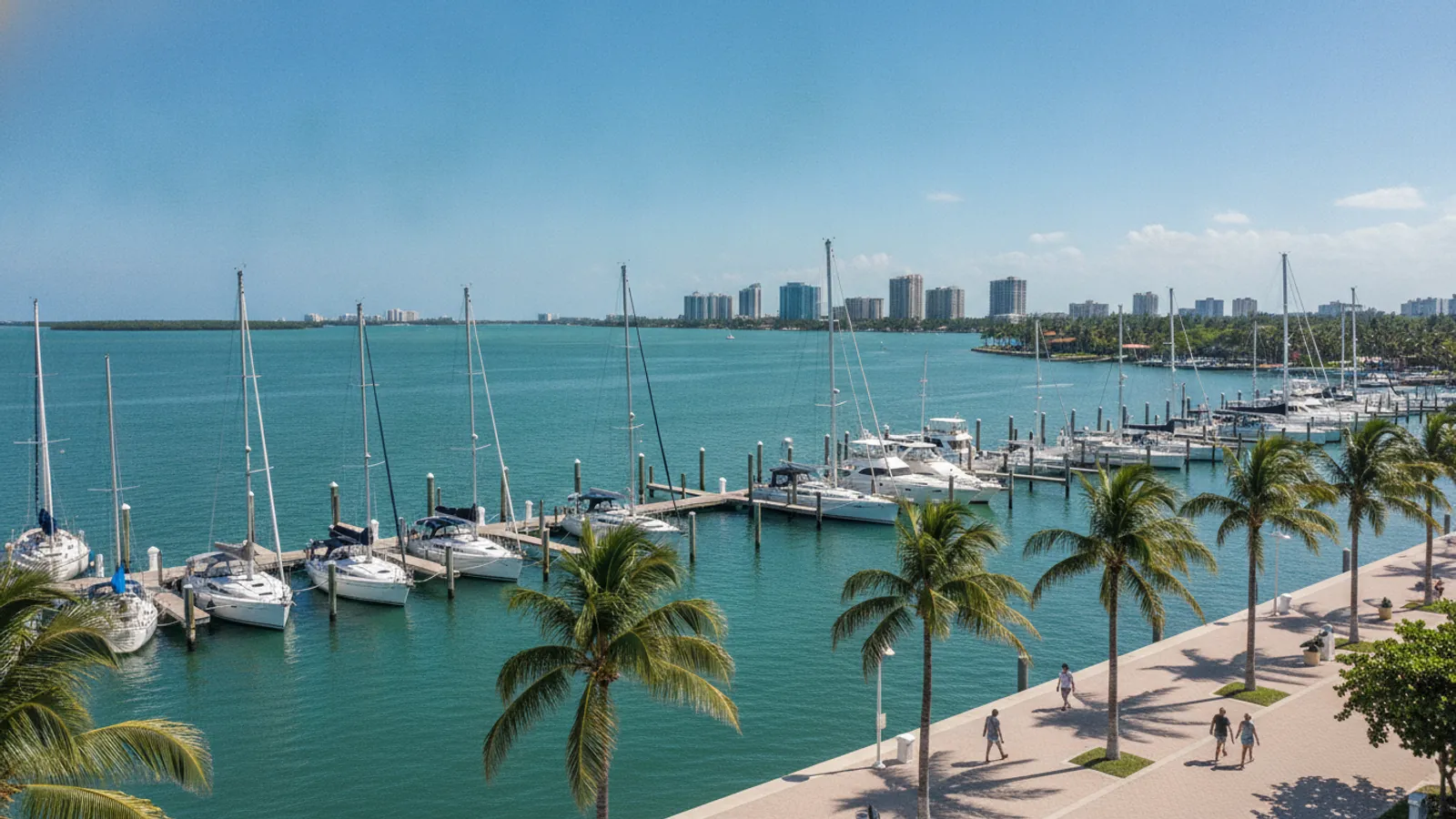 Car rental in Coconut Grove, Miami, Florida — Car Rental Miami 24